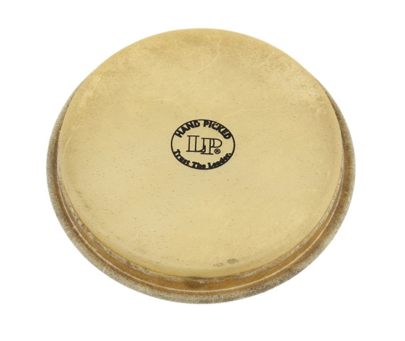 LP Large Head For 1964 Bongos (LP264F) LP Large Head For 1964 Bongos (LP264F)