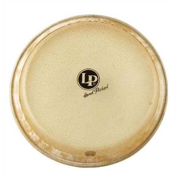 LP 8" Jr. Conga Replacement Head (LP266A) LP 8" Jr. Conga Replacement Head (LP266A)