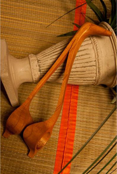 DOBANI Bird Spoons